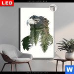 Leuchtbild Dia Adler Wald Hochformat Produktvorschau mit dem Bild Adler & Wald im Format Hochformat.