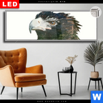 Leuchtbild Dia Adler Wald Panorama Produktvorschau mit dem Bild Adler & Wald im Format Panorama.