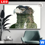 Leuchtbild Dia Adler Wald Querformat Produktvorschau mit dem Bild Adler & Wald im Format Querformat.