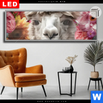 Leuchtbild Dia Alpaka Mit Blumen Panorama Produktvorschau mit dem Bild Alpaka mit Blumen im Format Panorama.