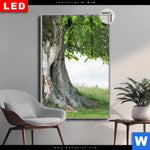 Leuchtbild Dia Alte Linde Auf Sommerwiese Hochformat Produktvorschau mit dem Bild Alte Linde auf Sommerwiese im Format Hochformat.