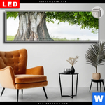 Leuchtbild Dia Alte Linde Auf Sommerwiese Panorama Produktvorschau mit dem Bild Alte Linde auf Sommerwiese im Format Panorama.