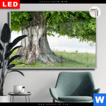 Leuchtbild Dia Alte Linde Auf Sommerwiese Querformat Produktvorschau mit dem Bild Alte Linde auf Sommerwiese im Format Querformat.