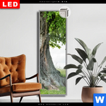 Leuchtbild Dia Alte Linde Auf Sommerwiese Schmal Produktvorschau mit dem Bild Alte Linde auf Sommerwiese im Format Schmal.