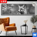 Leuchtbild Dia Anmutiger Fuchs Panorama Produktvorschau mit dem Bild Anmutiger Fuchs im Format Panorama.