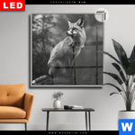 Leuchtbild Dia Anmutiger Fuchs Quadrat Produktvorschau mit dem Bild Anmutiger Fuchs im Format Quadrat.