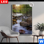 Leuchtbild Dia Asiatischer Tropischer Dschungel Hochformat Produktvorschau mit dem Bild Asiatischer tropischer Dschungel im Format Hochformat.