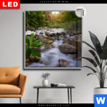 Leuchtbild Dia Asiatischer Tropischer Dschungel Quadrat Produktvorschau mit dem Bild Asiatischer tropischer Dschungel im Format Quadrat.