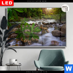 Leuchtbild Dia Asiatischer Tropischer Dschungel Querformat Produktvorschau mit dem Bild Asiatischer tropischer Dschungel im Format Querformat.