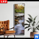 Leuchtbild Dia Asiatischer Tropischer Dschungel Schmal Produktvorschau mit dem Bild Asiatischer tropischer Dschungel im Format Schmal.