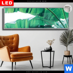 Leuchtbild Dia Bananenpalme Panorama Produktvorschau mit dem Bild Bananenpalme im Format Panorama.