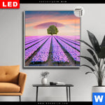 Leuchtbild Dia Baum Im Blumenfeld Quadrat Produktvorschau mit dem Bild Baum im Blumenfeld im Format Quadrat.