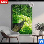 Leuchtbild Dia Baum Im Wald Hochformat Produktvorschau mit dem Bild Baum im Wald im Format Hochformat.