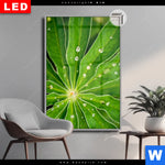 Leuchtbild Dia Blatt Mit Wassertropfen Hochformat Produktvorschau mit dem Bild Blatt mit Wassertropfen im Format Hochformat.