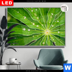 Leuchtbild Dia Blatt Mit Wassertropfen Querformat Produktvorschau mit dem Bild Blatt mit Wassertropfen im Format Querformat.