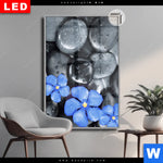 Leuchtbild Dia Blaue Blume Graue Steine Hochformat Produktvorschau mit dem Bild Blaue Blume & Graue Steine im Format Hochformat.