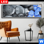 Leuchtbild Dia Blaue Blume Graue Steine Panorama Produktvorschau mit dem Bild Blaue Blume & Graue Steine im Format Panorama.