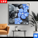 Leuchtbild Dia Blaue Blume Graue Steine Quadrat Produktvorschau mit dem Bild Blaue Blume & Graue Steine im Format Quadrat.