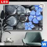 Leuchtbild Dia Blaue Blume Graue Steine Querformat Produktvorschau mit dem Bild Blaue Blume & Graue Steine im Format Querformat.