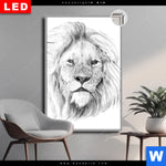 Leuchtbild Dia Bleistiftzeichnung Loewe Hochformat Produktvorschau mit dem Bild Bleistiftzeichnung Löwe im Format Hochformat.