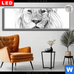 Leuchtbild Dia Bleistiftzeichnung Loewe Panorama Produktvorschau mit dem Bild Bleistiftzeichnung Löwe im Format Panorama.