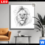 Leuchtbild Dia Bleistiftzeichnung Loewe Quadrat Produktvorschau mit dem Bild Bleistiftzeichnung Löwe im Format Quadrat.