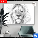 Leuchtbild Dia Bleistiftzeichnung Loewe Querformat Produktvorschau mit dem Bild Bleistiftzeichnung Löwe im Format Querformat.