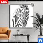 Leuchtbild Dia Bleistiftzeichnung Zebra Quadrat Produktvorschau mit dem Bild Bleistiftzeichnung Zebra im Format Quadrat.