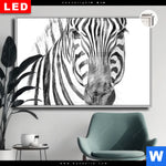 Leuchtbild Dia Bleistiftzeichnung Zebra Querformat Produktvorschau mit dem Bild Bleistiftzeichnung Zebra im Format Querformat.