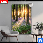 Leuchtbild Dia Bluehender Wald Bei Sonnenaufgang Hochformat Produktvorschau mit dem Bild Blühender Wald bei Sonnenaufgang im Format Hochformat.