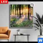 Leuchtbild Dia Bluehender Wald Bei Sonnenaufgang Quadrat Produktvorschau mit dem Bild Blühender Wald bei Sonnenaufgang im Format Quadrat.