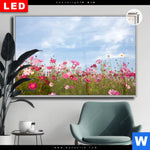 Leuchtbild Dia Blumenwiese Bei Strahlend Blauem Himmel Querformat Produktvorschau mit dem Bild Blumenwiese bei strahlend blauem Himmel im Format Querformat.