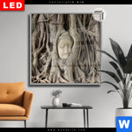 Leuchtbild Dia Buddha In Baumwurzeln Quadrat Produktvorschau mit dem Bild Buddha in Baumwurzeln im Format Quadrat.