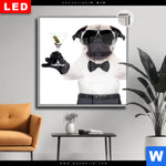Leuchtbild Dia Cooler Mops Mit Martini Quadrat Produktvorschau mit dem Bild Cooler Mops mit Martini im Format Quadrat.