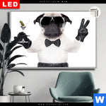 Leuchtbild Dia Cooler Mops Mit Martini Querformat Produktvorschau mit dem Bild Cooler Mops mit Martini im Format Querformat.