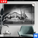 Leuchtbild Dia Das Duell Querformat Produktvorschau mit dem Bild Das Duell im Format Querformat.