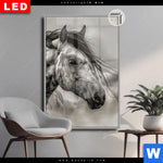 Leuchtbild Dia Das Pferd Wild Schoen Hochformat Produktvorschau mit dem Bild Das Pferd - wild & schön im Format Hochformat.