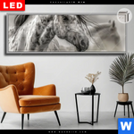 Leuchtbild Dia Das Pferd Wild Schoen Panorama Produktvorschau mit dem Bild Das Pferd - wild & schön im Format Panorama.