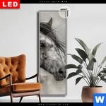 Leuchtbild Dia Das Pferd Wild Schoen Schmal Produktvorschau mit dem Bild Das Pferd - wild & schön im Format Schmal.