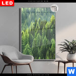 Leuchtbild Dia Der Wald Hochformat Produktvorschau mit dem Bild Der Wald im Format Hochformat.