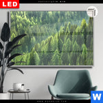 Leuchtbild Dia Der Wald Querformat Produktvorschau mit dem Bild Der Wald im Format Querformat.