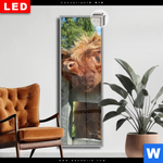 Leuchtbild Dia Drei Schottische Rinder Schmal Produktvorschau mit dem Bild Drei Schottische Rinder im Format Schmal.