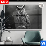 Leuchtbild Dia Duestere Eleganz Der Eule Querformat Produktvorschau mit dem Bild Düstere Eleganz der Eule im Format Querformat.
