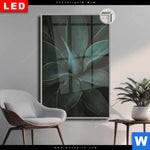Leuchtbild Dia Dunkles Agavenblatt Hochformat Produktvorschau mit dem Bild Dunkles Agavenblatt im Format Hochformat.