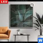 Leuchtbild Dia Dunkles Agavenblatt Quadrat Produktvorschau mit dem Bild Dunkles Agavenblatt im Format Quadrat.