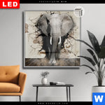Leuchtbild Dia Elefant Bricht Durch Mauer Quadrat Produktvorschau mit dem Bild Elefant bricht durch Mauer im Format Quadrat.