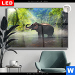 Leuchtbild Dia Elefant Im Wasser Querformat Produktvorschau mit dem Bild Elefant im Wasser im Format Querformat.