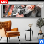 Leuchtbild Dia Elefant Savannenzauber In Afrika Panorama Produktvorschau mit dem Bild Elefant - Savannenzauber in Afrika im Format Panorama.