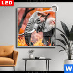 Leuchtbild Dia Elefant Savannenzauber In Afrika Quadrat Produktvorschau mit dem Bild Elefant - Savannenzauber in Afrika im Format Quadrat.