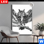 Leuchtbild Dia Eule Auf Ast Hochformat Produktvorschau mit dem Bild Eule auf Ast im Format Hochformat.